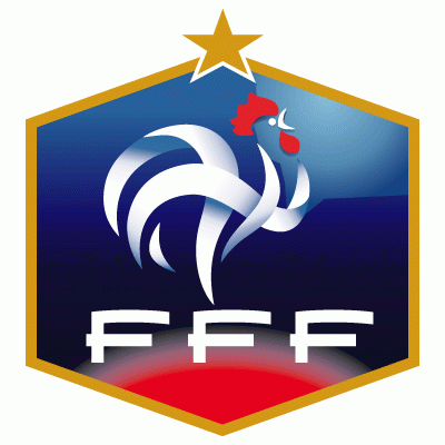 UEFA France 2008-Pres Primary Logo t shirt iron on transfers